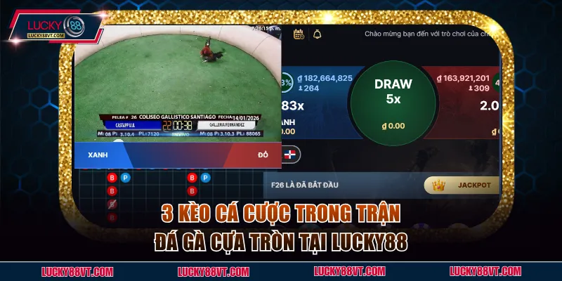 3 kèo trong trận đá gà cựa tròn tại Lucky88