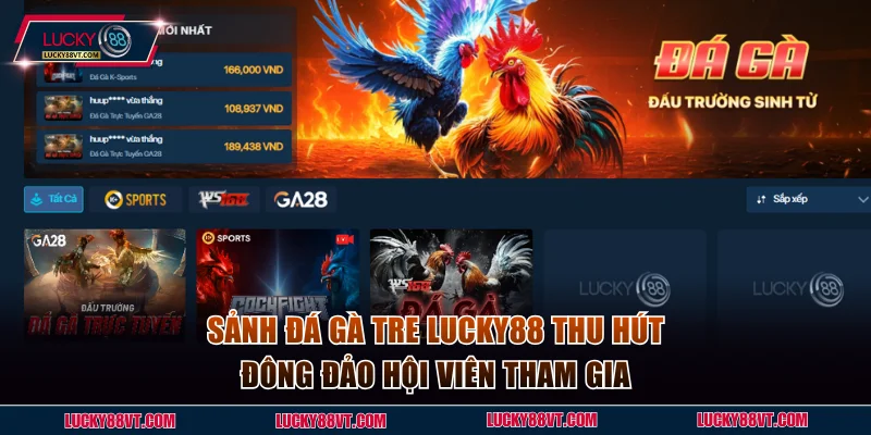 Sảnh đá gà tre Lucky88 thu hút đông đảo hội viên tham gia